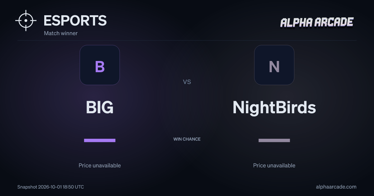 ESPORTS: BIG — / NightBirds —