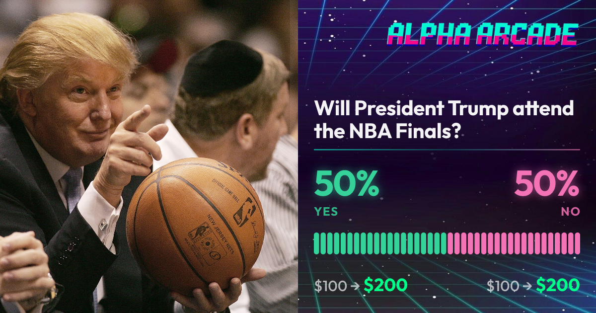 YES 50% / NO 50%