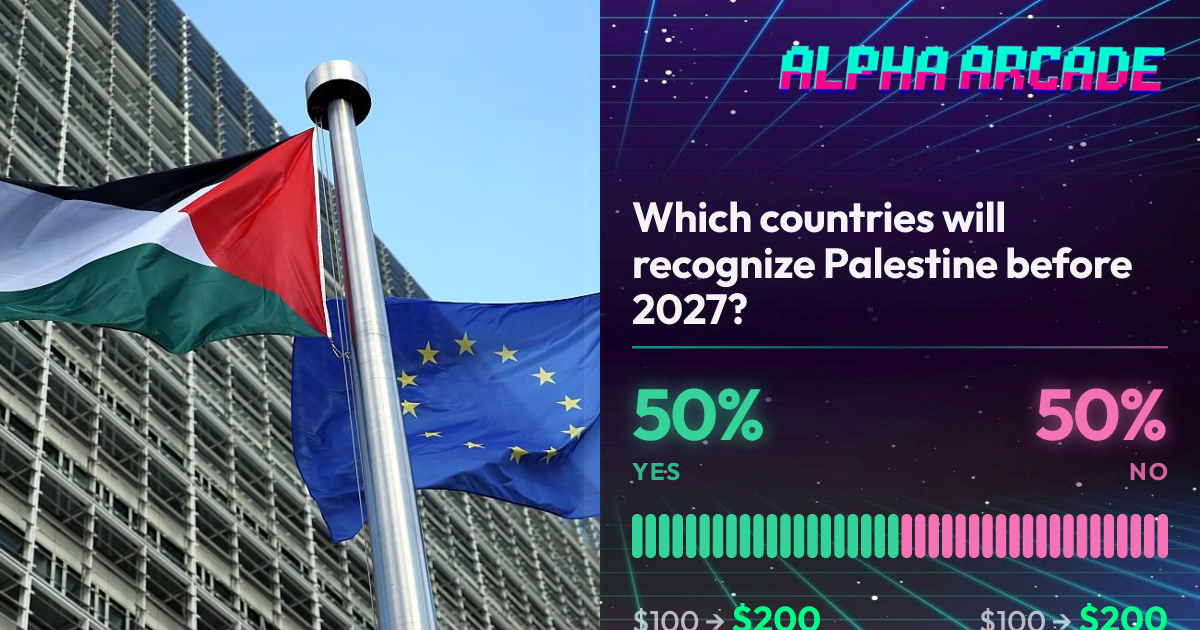 YES 50% / NO 50%