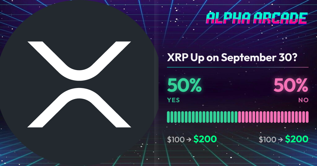 YES 50% / NO 50%